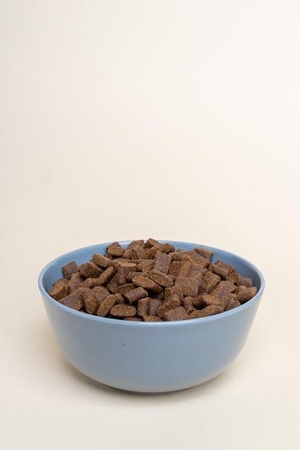 Blue Buffalo Life Protection Adult Dog Food