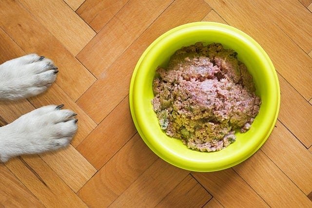 Blue Buffalo Homestyle Wet Dog Food Case