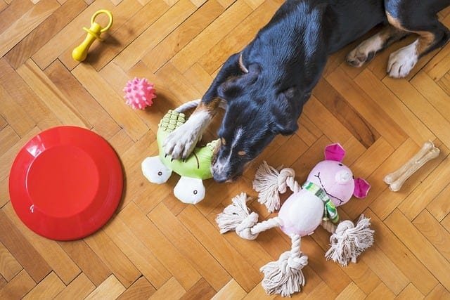 KONG Classic Dog Toy Multipack